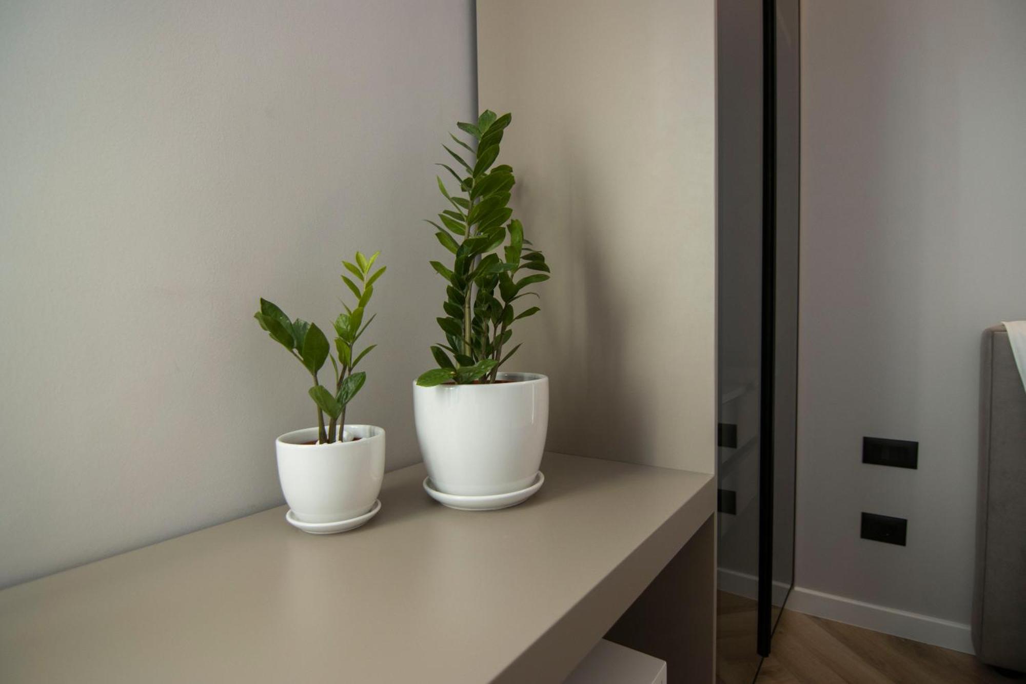 Mina Luxury Rooms Tiranë Ngoại thất bức ảnh
